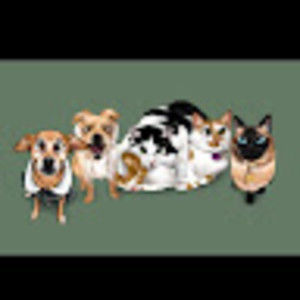 Meet your Posher, Ginnyzel